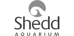 Shedd Aquarium Logo